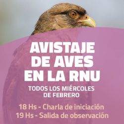 La Municipalidad de General Pico lleva a cabo cada miércoles del mes de febrero jornadas de avistamiento de aves.