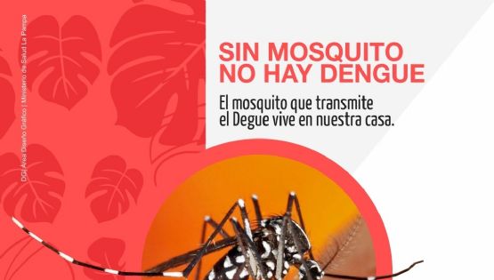 En la provincia se han confirmado 21 casos de dengue de los cuales 4 son residentes de Pico que no presentaron antecedente de viaje. -Mira